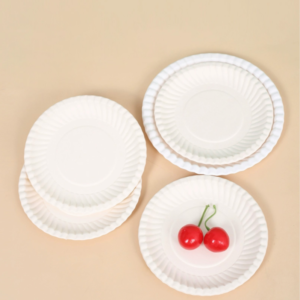 The Best Biodegradable Tableware to Import from China